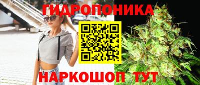 стаф Гусиноозёрск