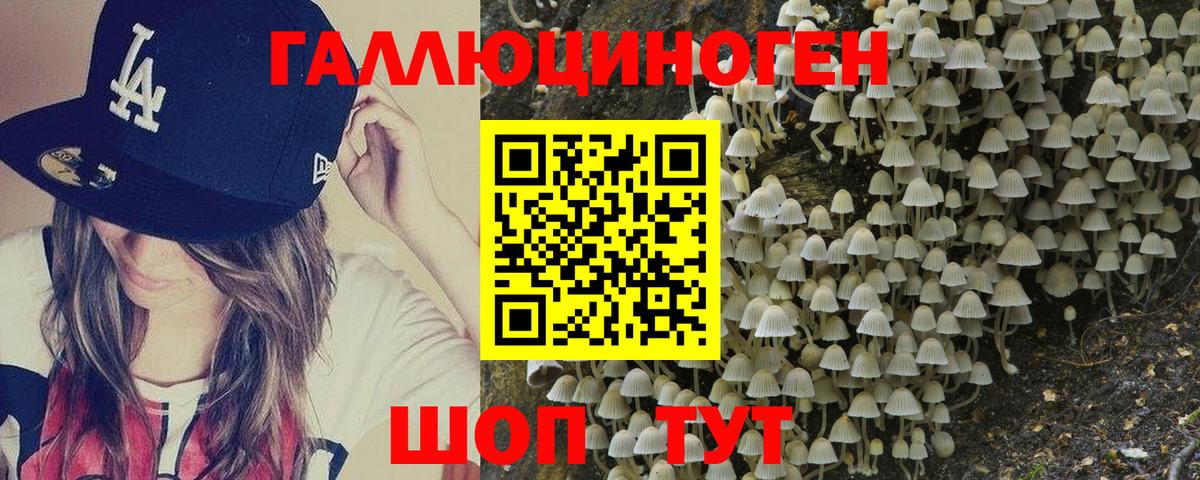 Галлюциногенные грибы MAGIC MUSHROOMS Зерноград